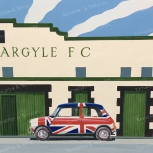 Alternative view of Plymouth. Home Park Fine Art Print